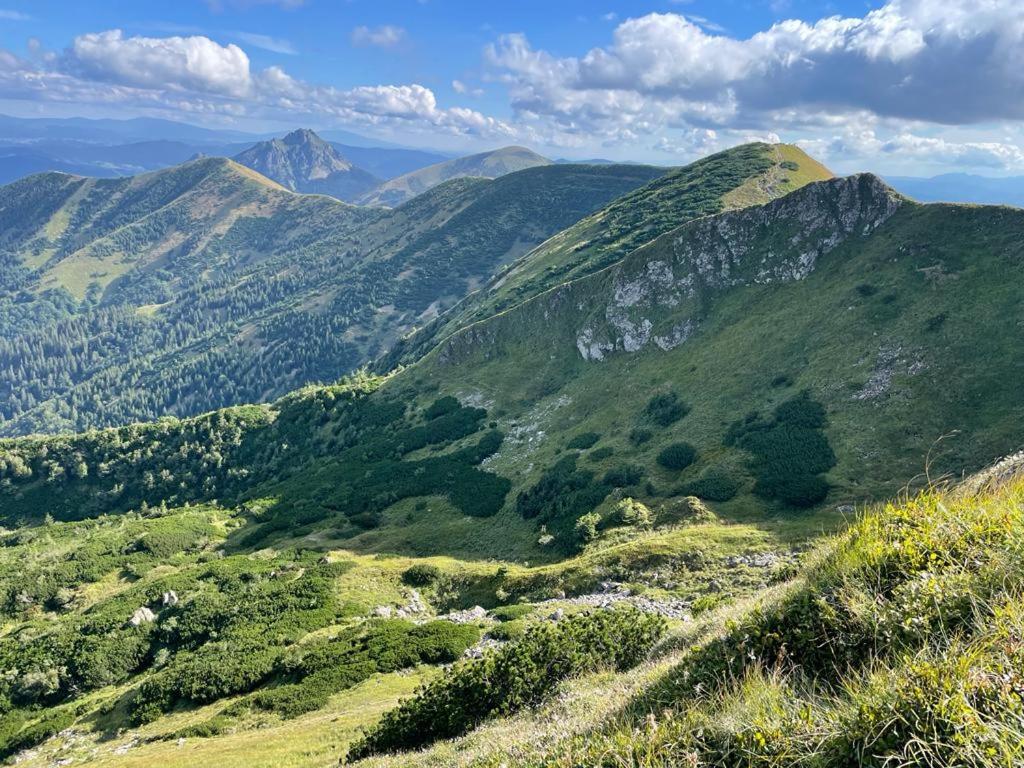 Apartamento U Plechoveho Janosika Terchová Exterior foto